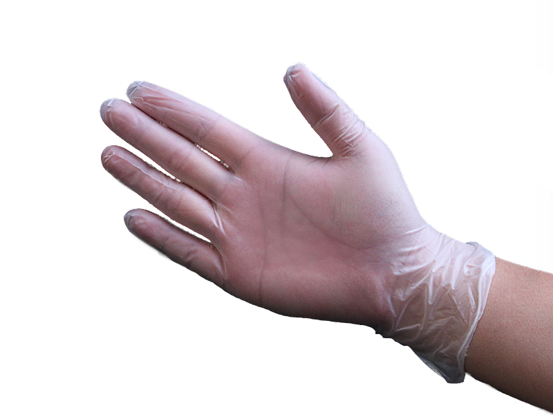 Powder Free Clear Disposable Vinyl Examination Gloves 